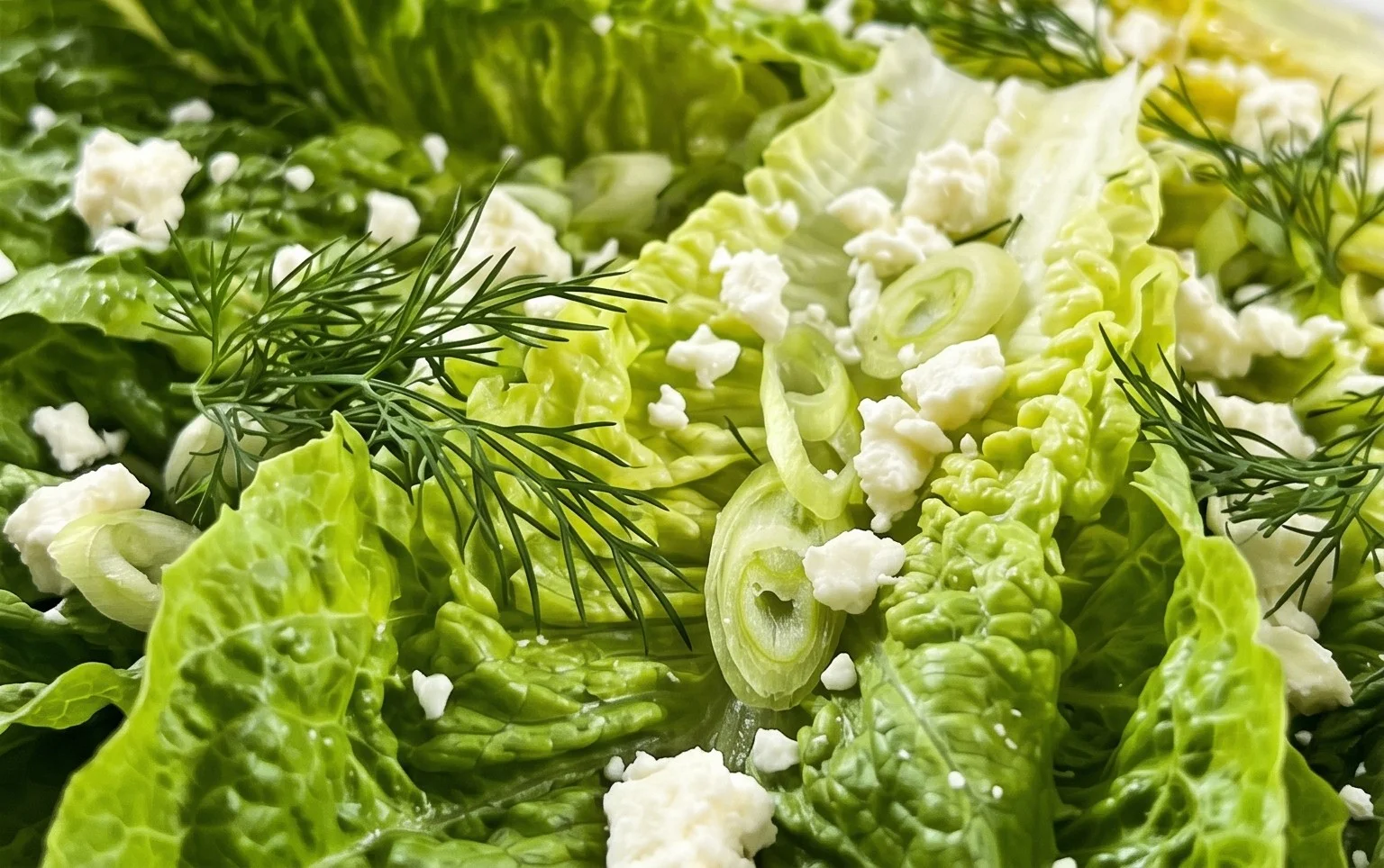 Maroulosalata (Greek Lettuce Salad)